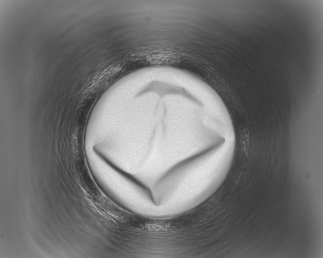 X0000085000690200704021334