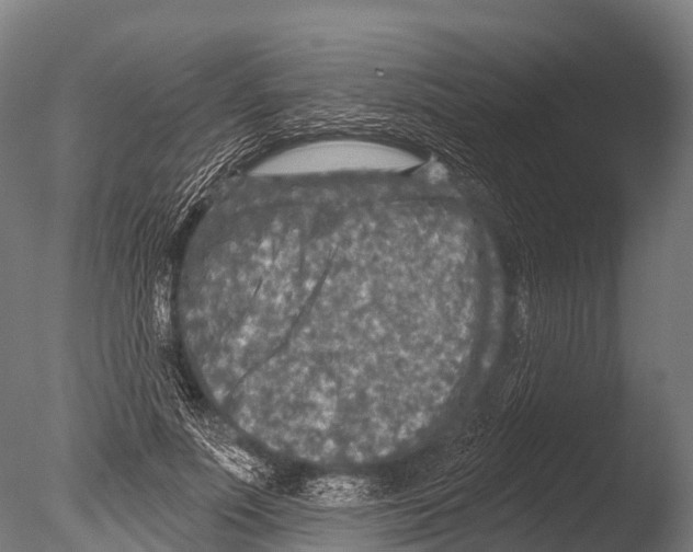 X0000085000691200704021334