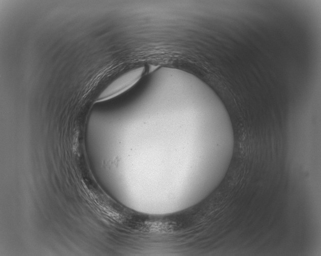 X0000085000693200704021334