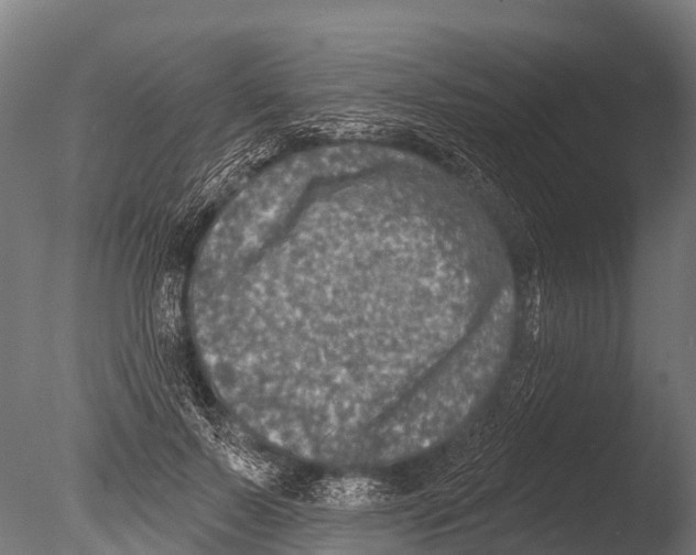 X0000085000695200704021334