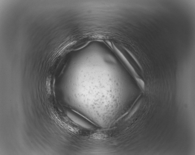 X0000085000696200704021334