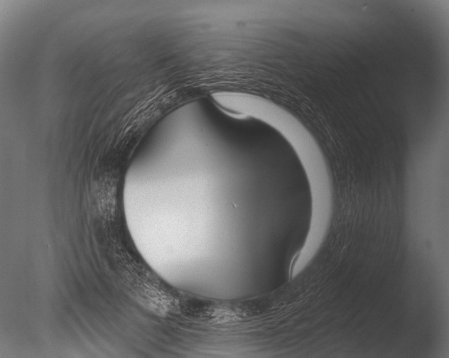 X0000085000697200704021334