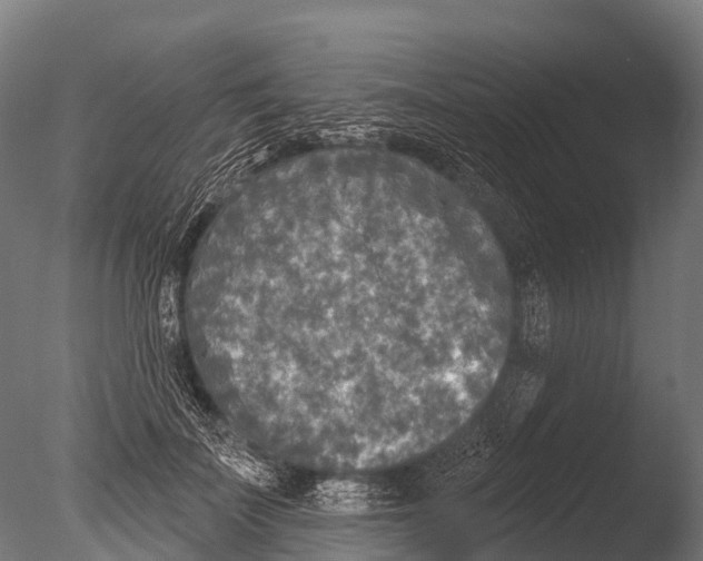 X0000085000699200704021334