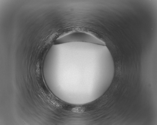 X0000085000700200704021334