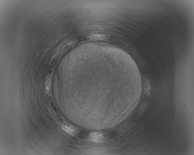 X0000085000701200704021334