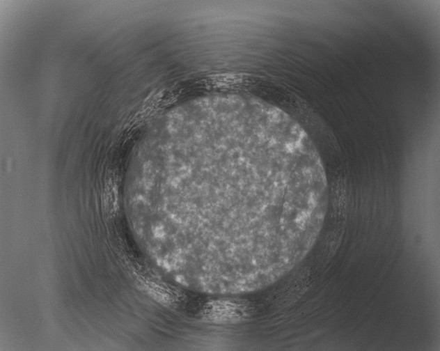 X0000085000703200704021334