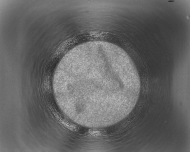 X0000085000706200704021334