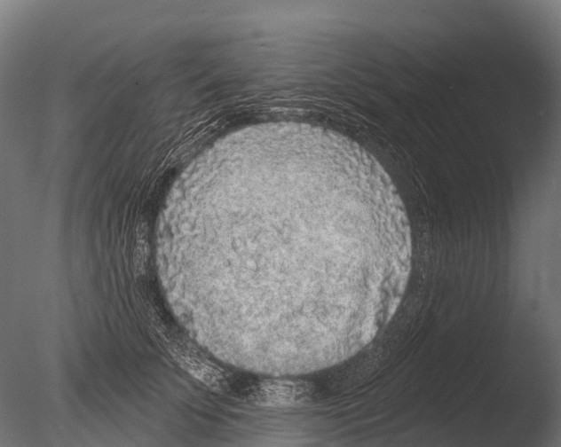 X0000085000707200704021334