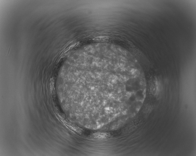 X0000085000711200704021334