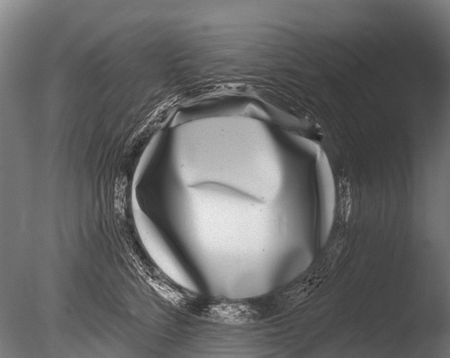 X0000085000712200704021334