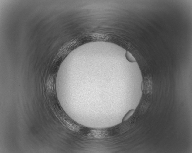 X0000085000713200704021334