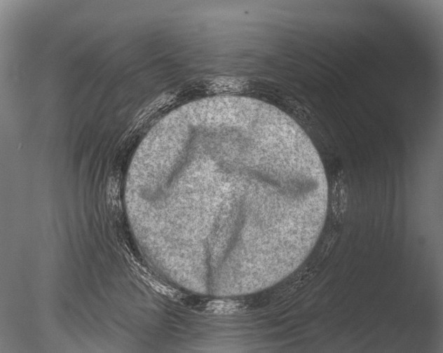 X0000085000714200704021334