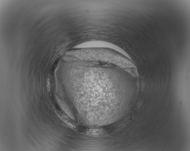 X0000085000716200704021334