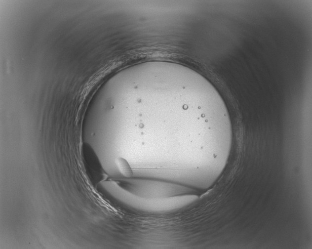 X0000085000721200704021333