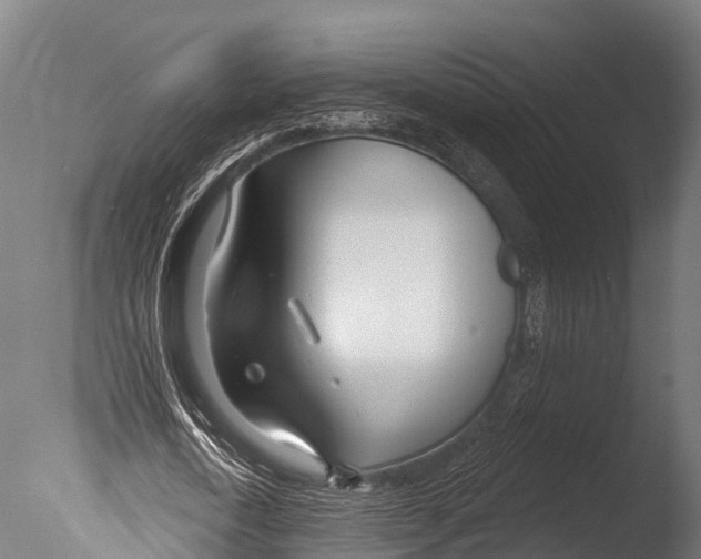 X0000085000722200704021333