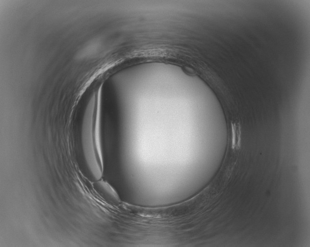 X0000085000723200704021333