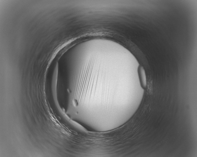 X0000085000724200704021333