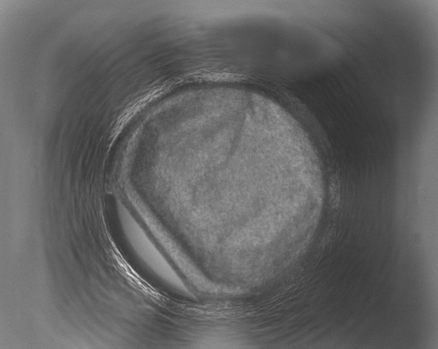 X0000085000725200704021333