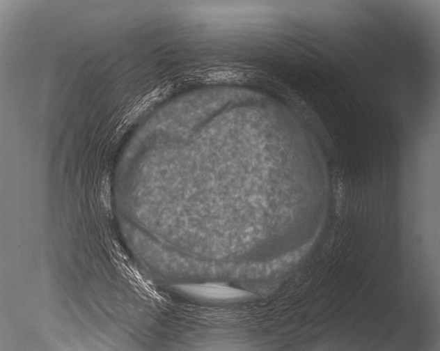 X0000085000729200704021333