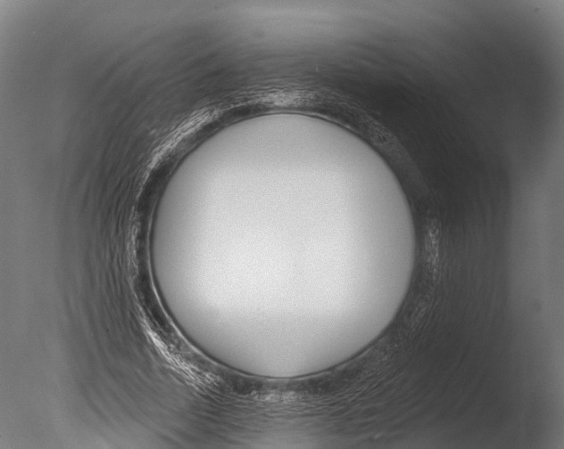 X0000085000730200704021333