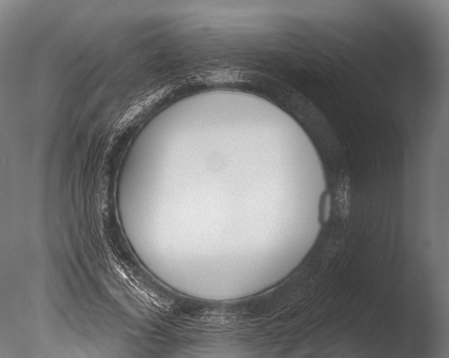 X0000085000732200704021333