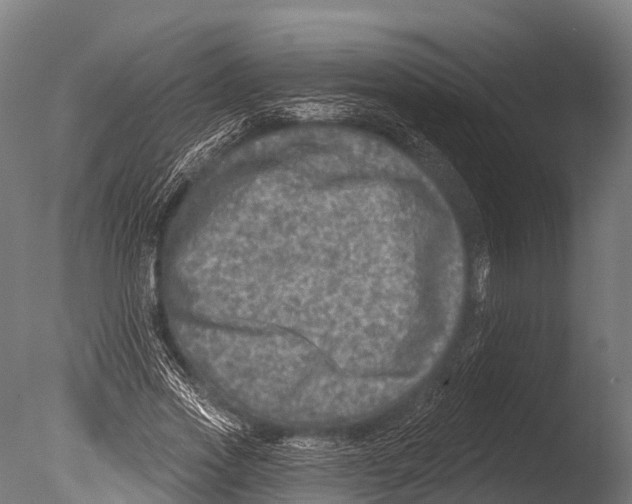 X0000085000733200704021333