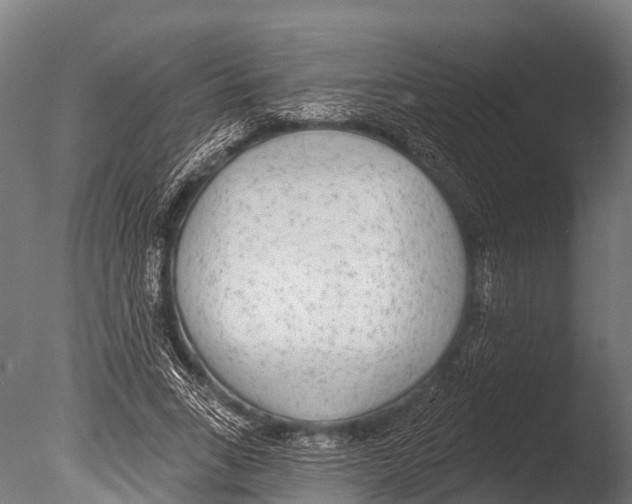 X0000085000735200704021333