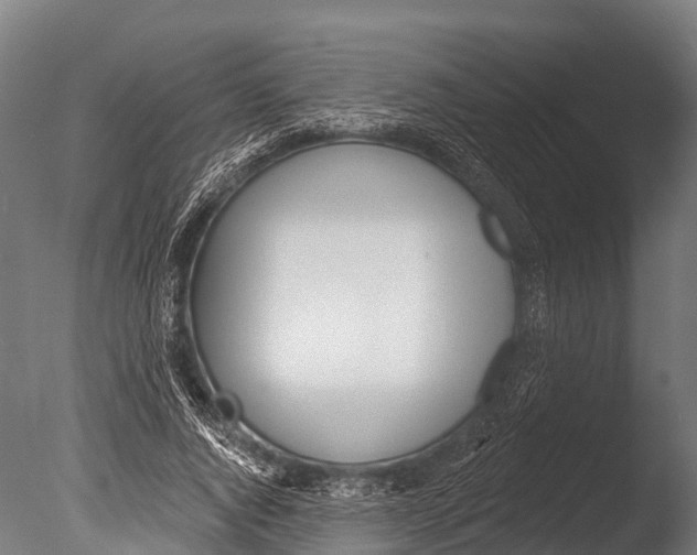 X0000085000736200704021333