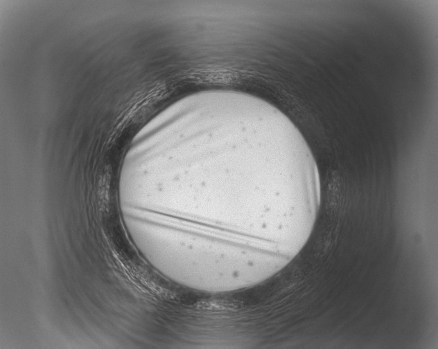 X0000085000739200704021333