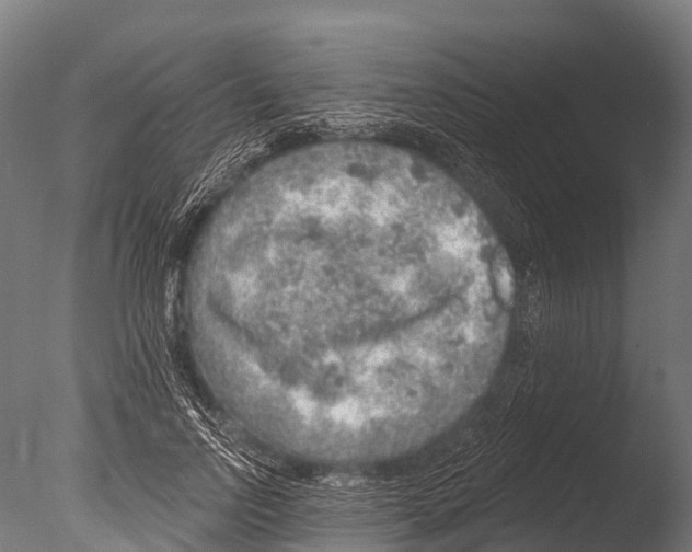 X0000085000742200704021333