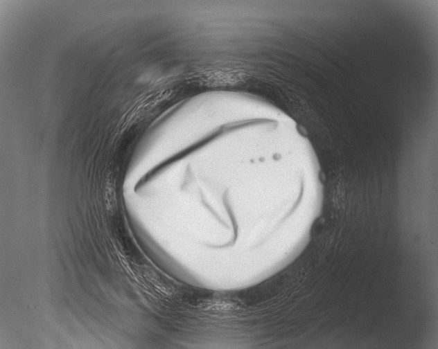 X0000085000743200704021333