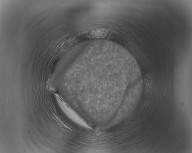 X0000085000745200704021333