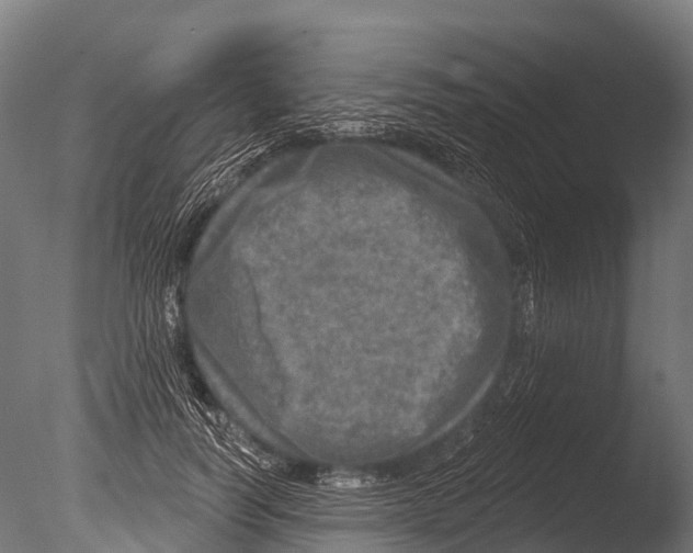 X0000085000746200704021333