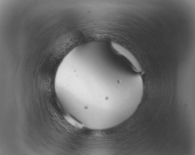 X0000085000750200704021333