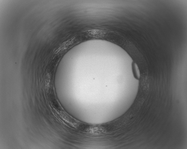 X0000085000752200704021333