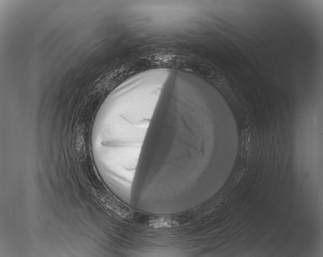 X0000085000754200704021333