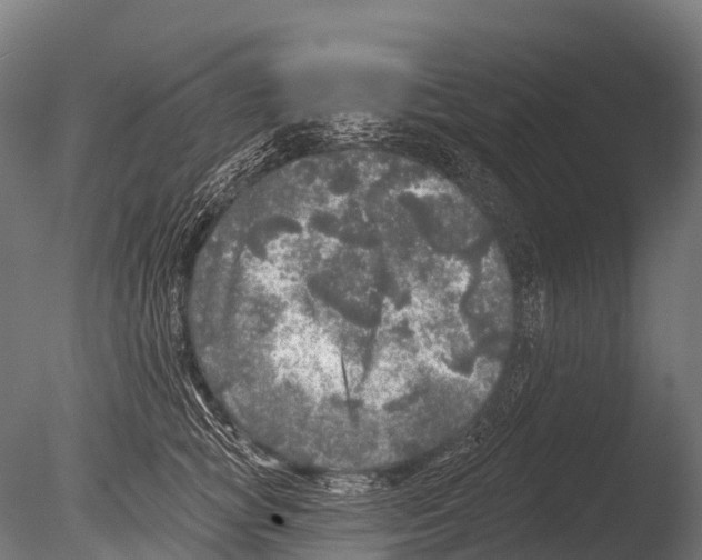 X0000085000757200704021333