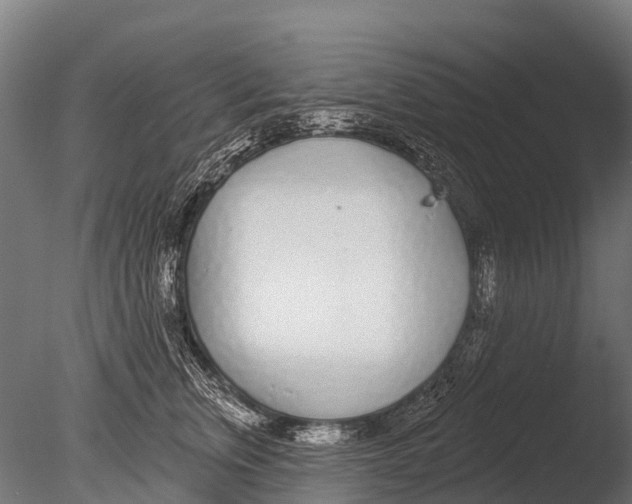 X0000085000759200704021333