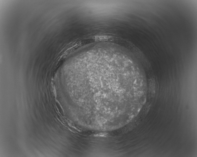 X0000085000761200704021333