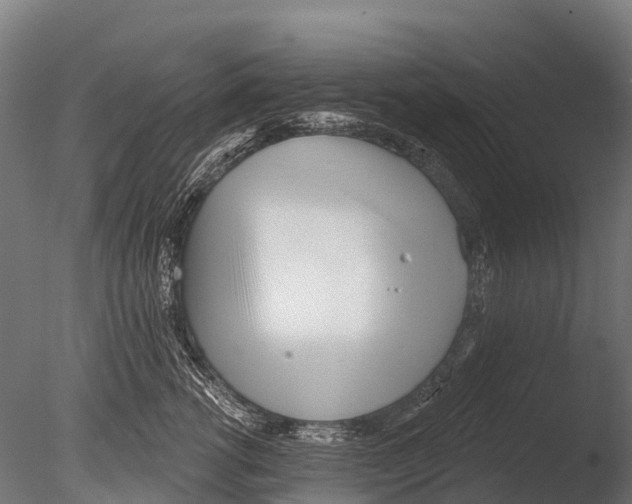 X0000085000762200704021333