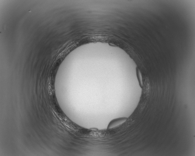 X0000085000764200704021333