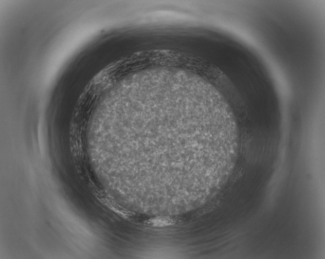 X0000085000765200704021333