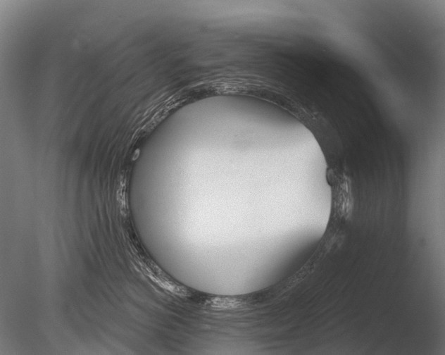 X0000085000766200704021333