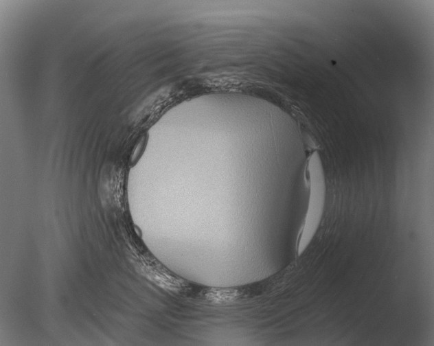 X0000085000767200704021333