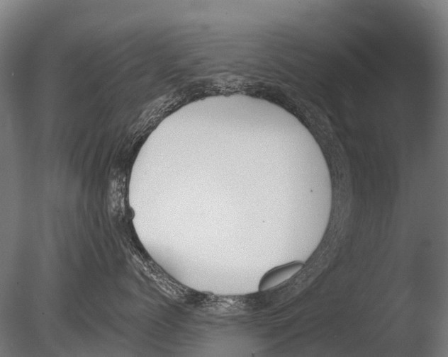 X0000085000768200704021333