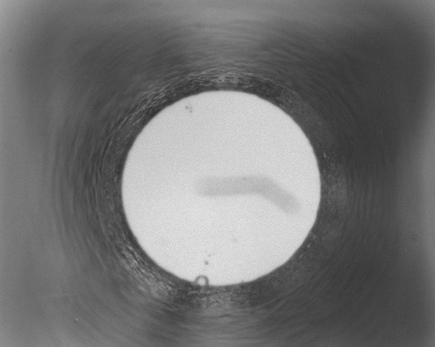 X0000085000769200704021333