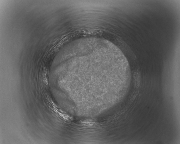 X0000085000770200704021333