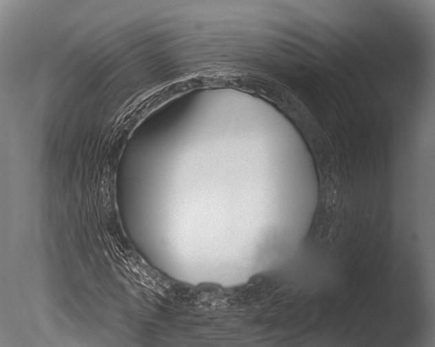 X0000085000773200704021333