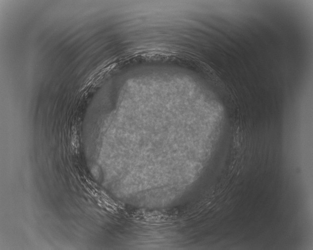 X0000085000774200704021333