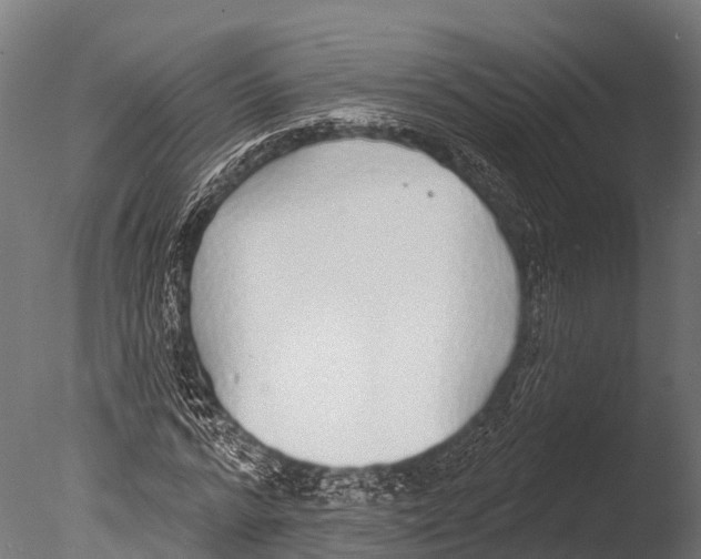 X0000085000776200704021333